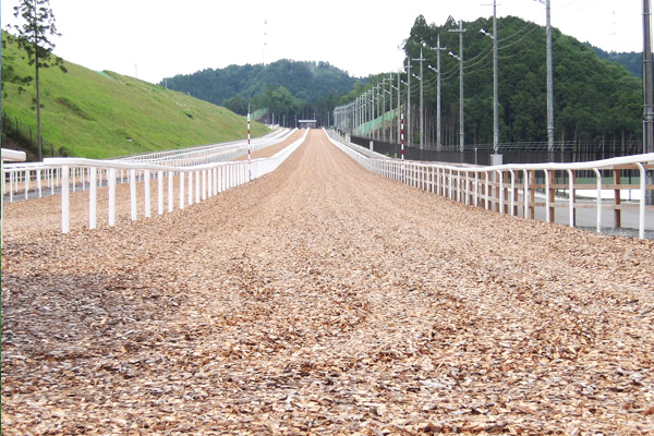 競走馬トレーニングセンター